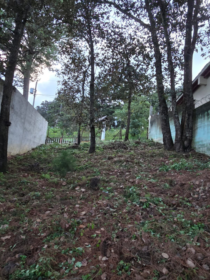 Terreno en #Venta en San lucas — foto 2