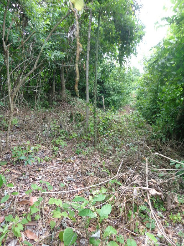 Terreno Escuintla Tiquisate 2 - Miniatura 7