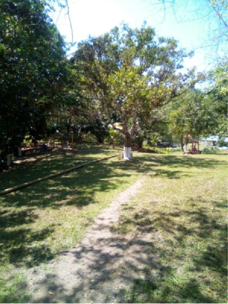 FINCA DE 4 CABALLERÍAS EN VENTA EN IZABAL, KM 267 CA9 N - 5