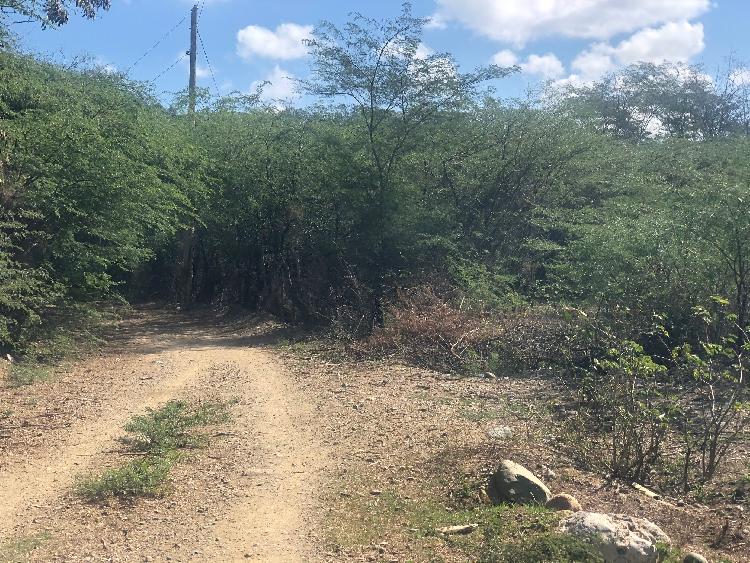 Finca en Valverde, Mao de Venta - 2