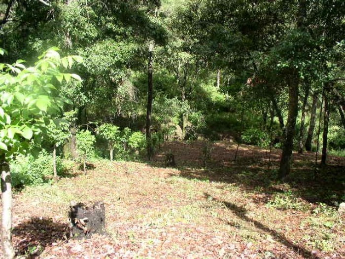 Terreno Hacienda Quinta las Flores, S. Juan Sac. - 1