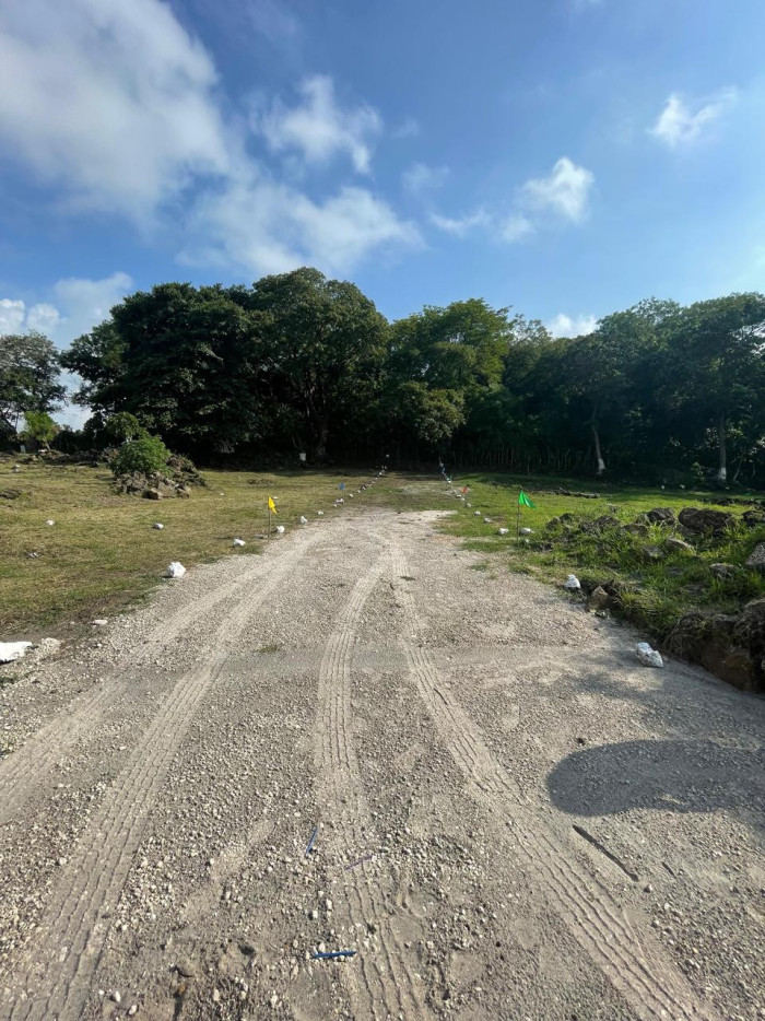 Terreno en venta en residencial jocotillo Villa Canales - Miniatura 9