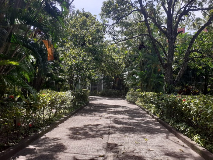 Casa en venta Colonia Escalón, San Salvador, - 2