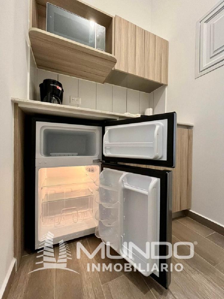 APARTAMENTO AMUEBLADO TIPO ESTUDIO EN RENTA, ZONA 13 — foto 4