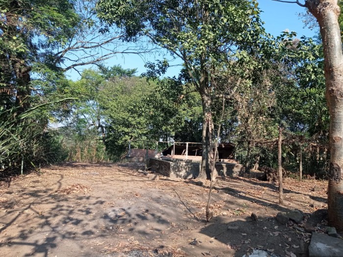 Vendo terreno agrícola de 3,265 varas en Ciudad Arce - 5