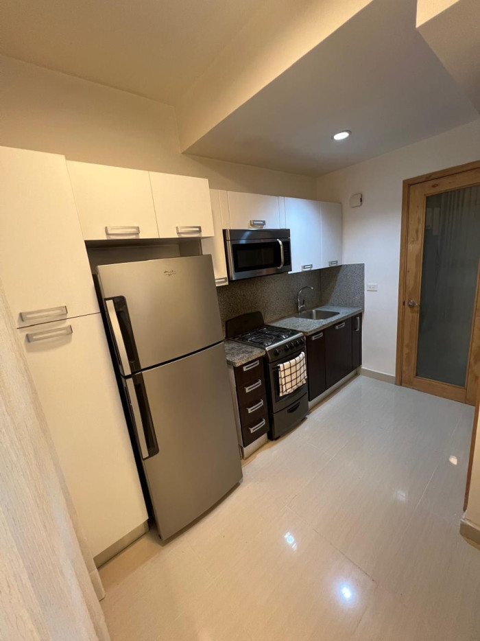 Apartamento amueblado en Venta en Piantini - 7