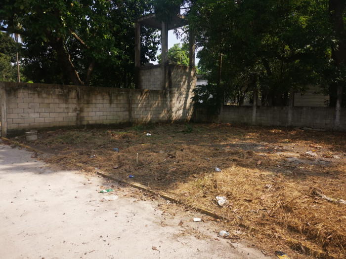 TERRENO RESIDENCIAL COLONIA LOS OLIVOS TIQUISATE ZONA 4 - Miniatura 6