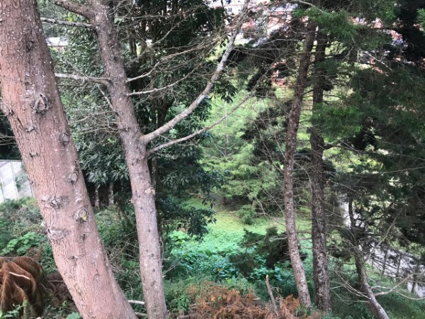 TERRENO EN VENTA EN BOSQUES DE LAS LUCES/MI — foto 5