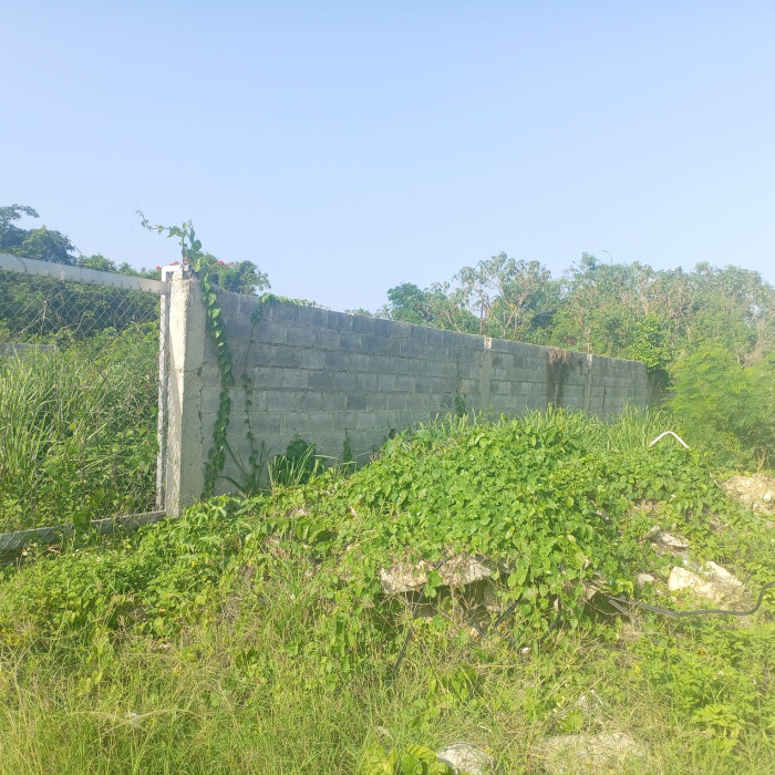 Solar Comercial en Venta – Autopista Las Américas - 4