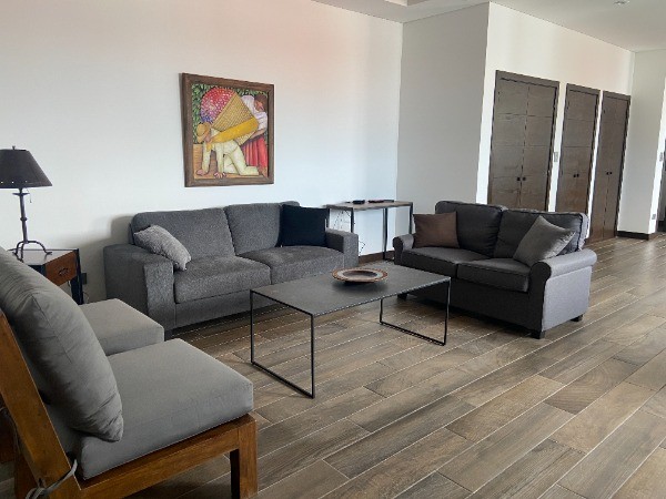 APARTAMENTO AMUEBLADO EN RENTA EN EDIFICIO MAGNOLIAS — foto 4