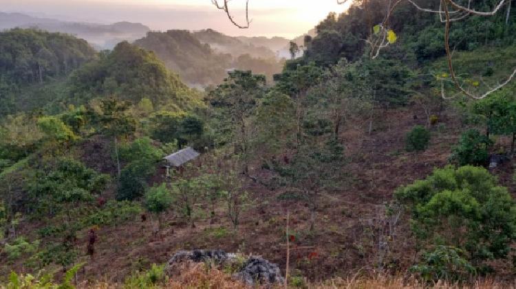 PARCELA EN VENTA EN CHISEC, ALTA VERAPAZ - 3