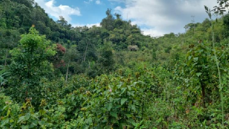 PARCELA EN VENTA EN CHISEC, ALTA VERAPAZ - 7