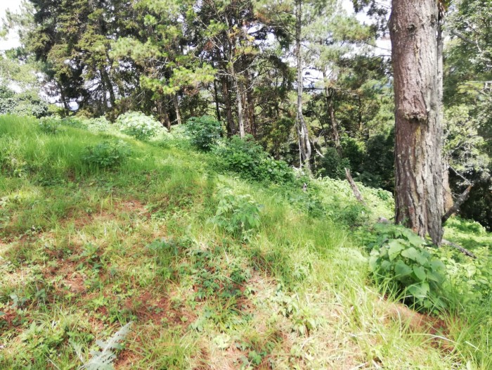 VENDO TERRENO EN TERRAVISTA KM 16.5 ENTRADA A OLMECA — foto 2