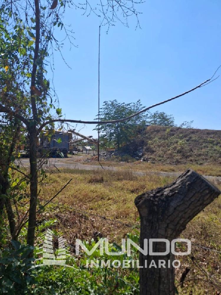 FINCA EN VENTA CARRETERRA ANTIGUA AL PUERTO SAN JOSÉ — foto 6