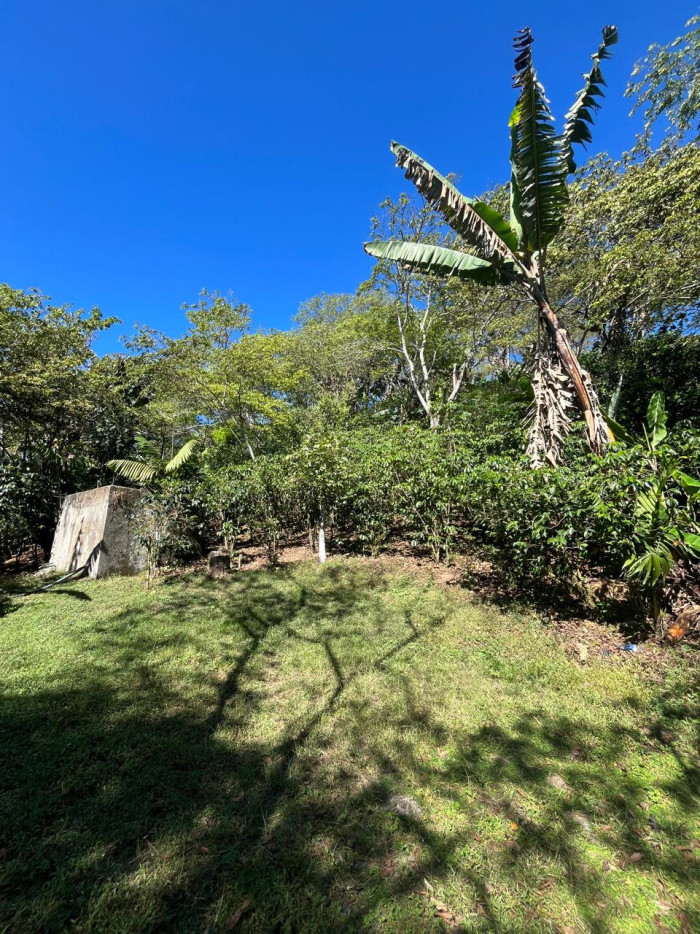 Finca en Venta en Fraijanes, Guatemala | Km 16-30 - Miniatura 10