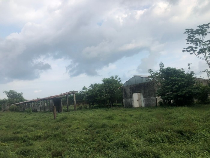 Venta de finca a orilla de carretera Masagua, Escuintla - 7