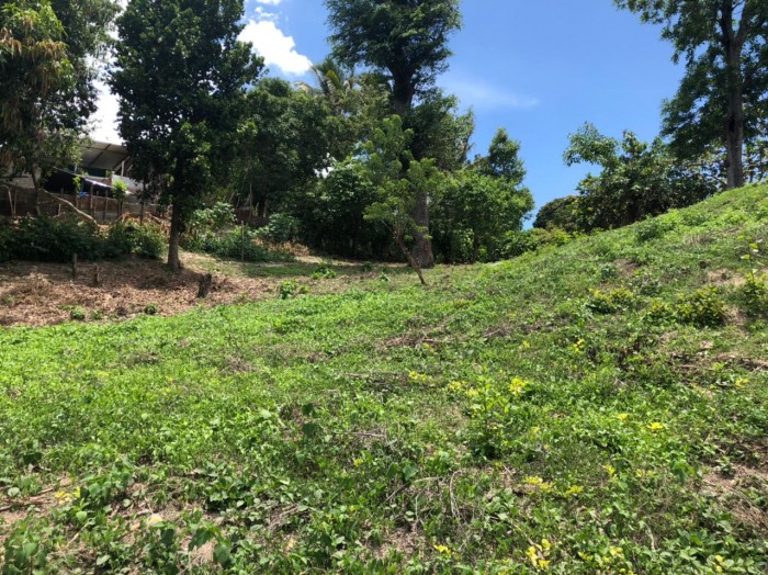 TERRENO PARA CONSTRUCCION DE VIVIENDAS EN OLOCUILTA - 3