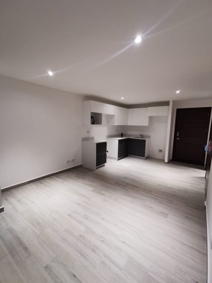 ZONA 15. RENTO APARTAMENTO EN PARQUE 15