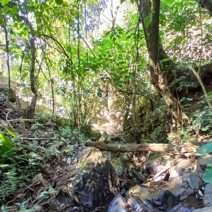 Finca en Venta en Fraijanes, Guatemala | Km 16-30 - Miniatura 5