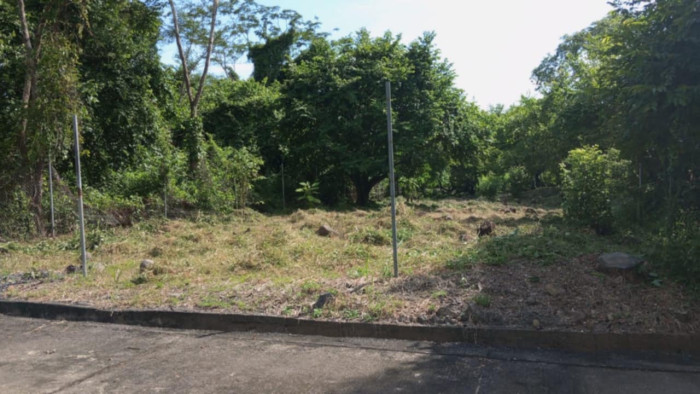 Terreno en Venta en Masagua, Escuintla | Oportunidad Inmobiliaria - Miniatura 7