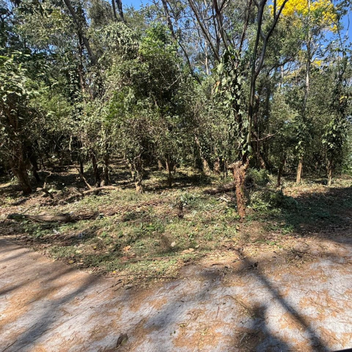 Lote en Venta RioSul, Escuintla, Guatemala - Miniatura 6