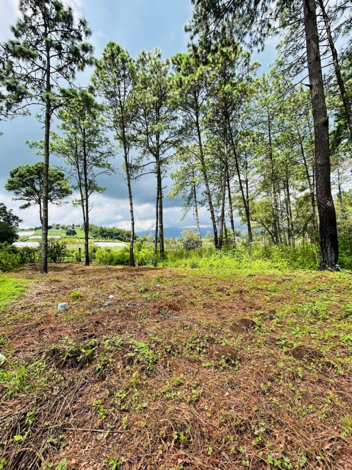 Terreno en venta en Sumpango Hacienda Las Llanuras - 1