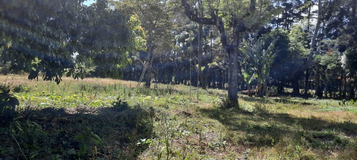 KM 24 CARRETERA AL SALVADOR — foto 13