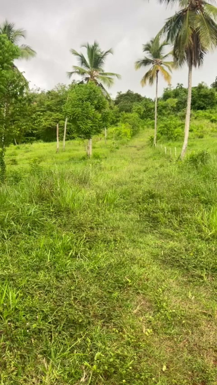 Terreno Residencial en Venta en Las Galeras, Samaná - 3