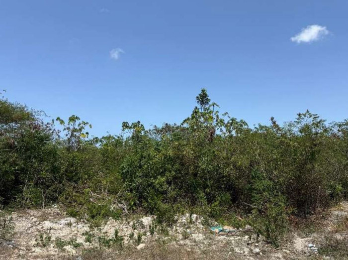 Terreno en Venta en Bávaro – 116,537.17 m² - 3