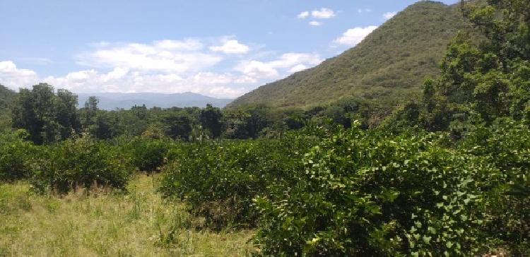 FINCA EN VENTA EN EL PROGRESO - 3