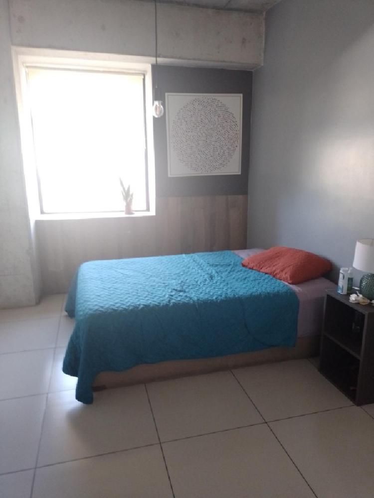 APARTAMENTO AMOBLADO EN RENTA ZONA 4/MUNDO INMOBILIARIO — foto 5
