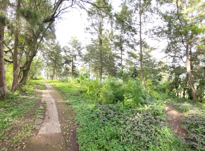 Finca en venta en San Jose Pinula camino a Monte Cristo — foto 13
