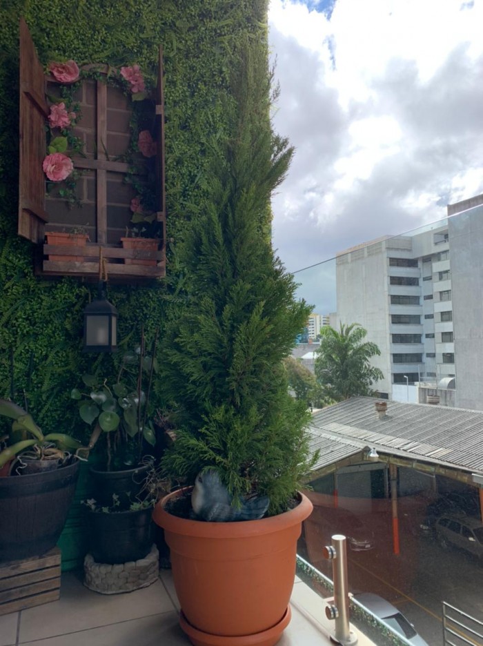 Apartamento en Venta Centro de zona 9 Guatemala - Miniatura 15