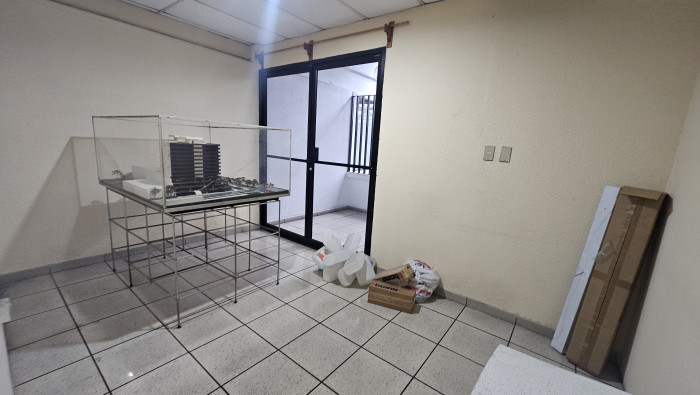 LOCAL EN #RENTA EN ZONA 9 — foto 2