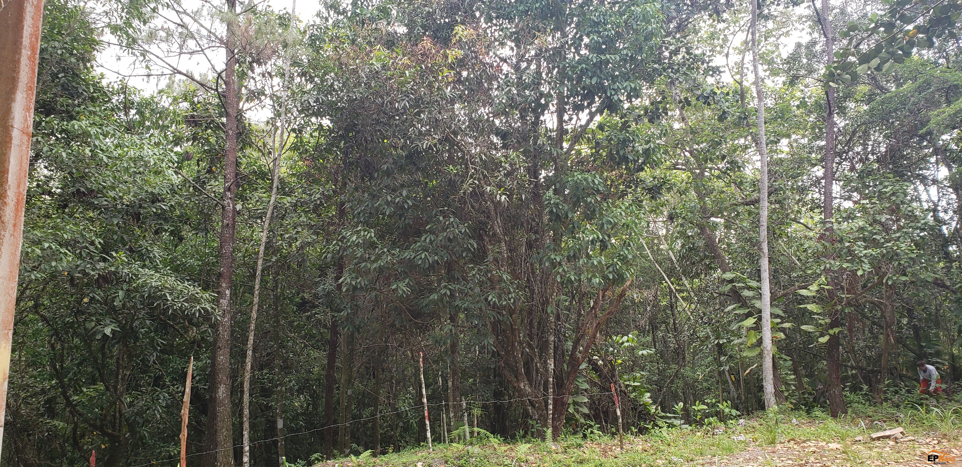 Solar de venta en Jarabacoa