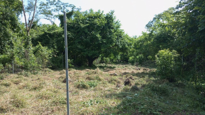 Terreno en Venta en Masagua, Escuintla | Oportunidad Inmobiliaria - Miniatura 5