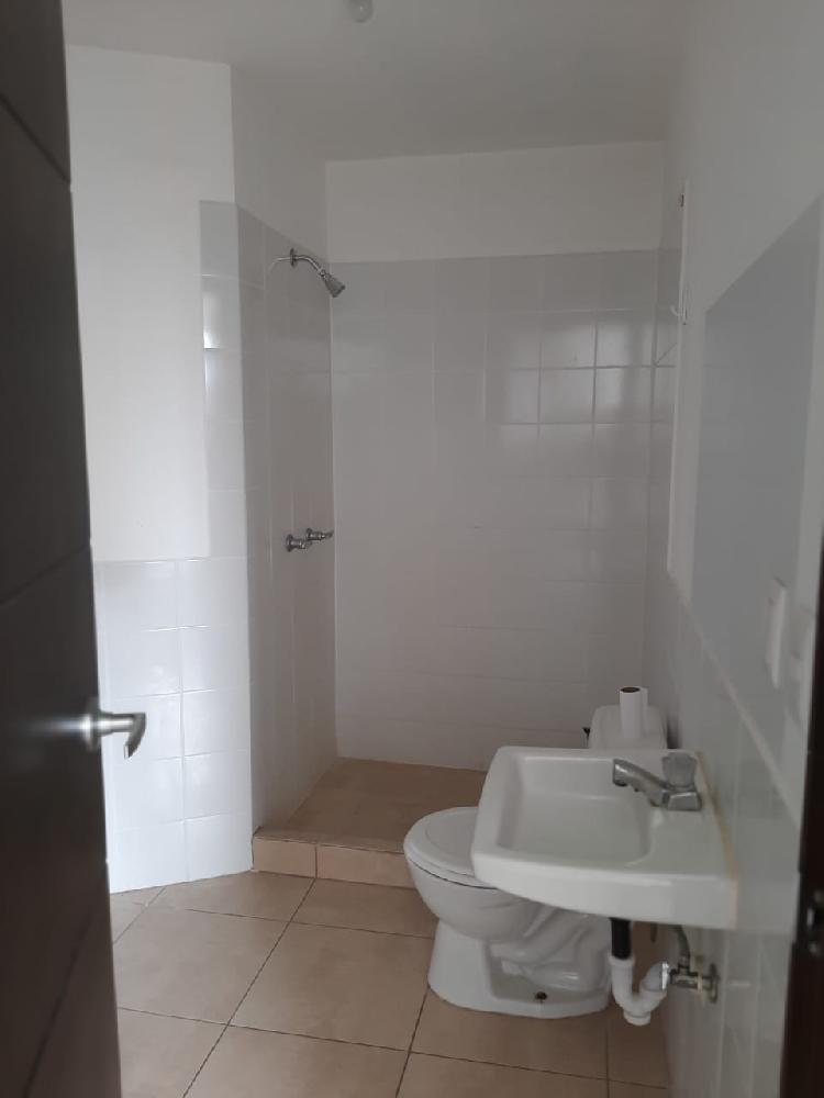 APARTAMENTO EN RENTA, ZONA 14 — foto 12