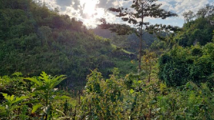 PARCELA EN VENTA EN CHISEC, ALTA VERAPAZ - 1