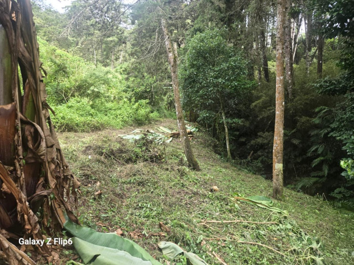 TERRENO EN #VENTA EN PIEDRA PARADA CRISTO REY — foto 5