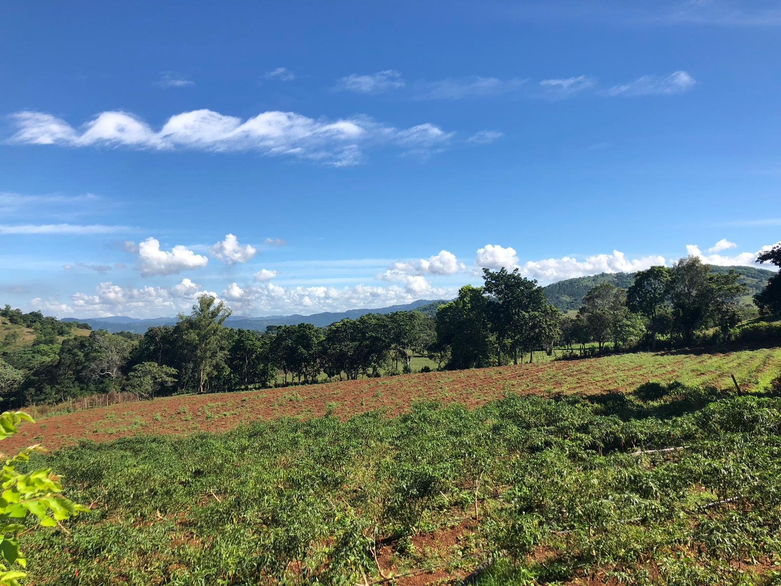 Espectacular Finca ubicada en Bonao - 8
