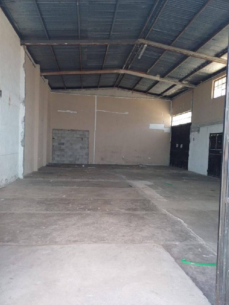OFIBODEGA EN RENTA ZONA 12/MUNDO INMOBILIARIO - 5