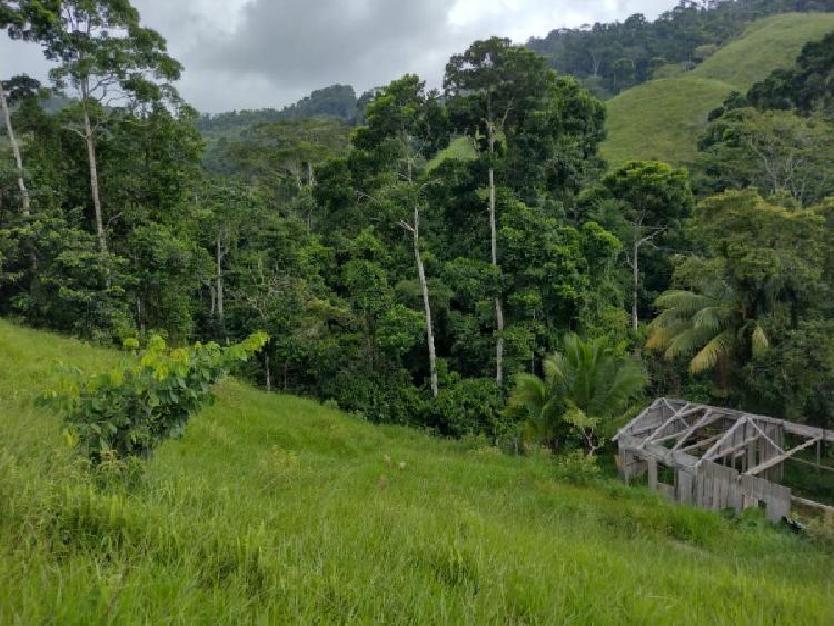 Vendo Finca de 120mnz en Puerto Barrios, Izabal Ref-229 - 6
