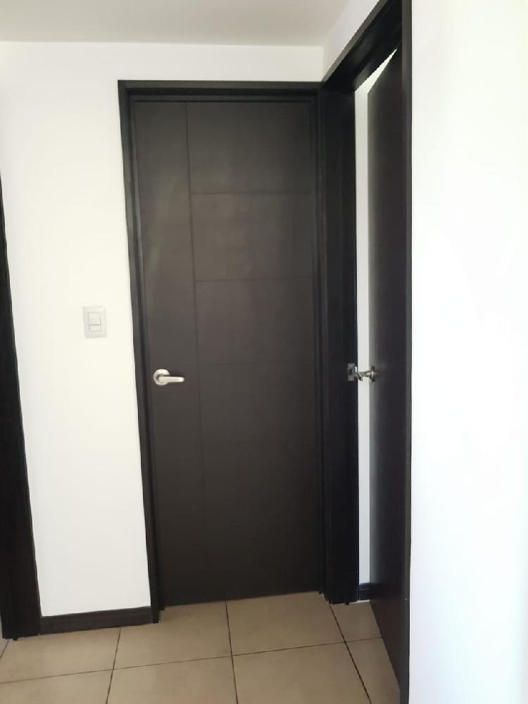 APARTAMENTO EN RENTA, ZONA 13 — foto 8
