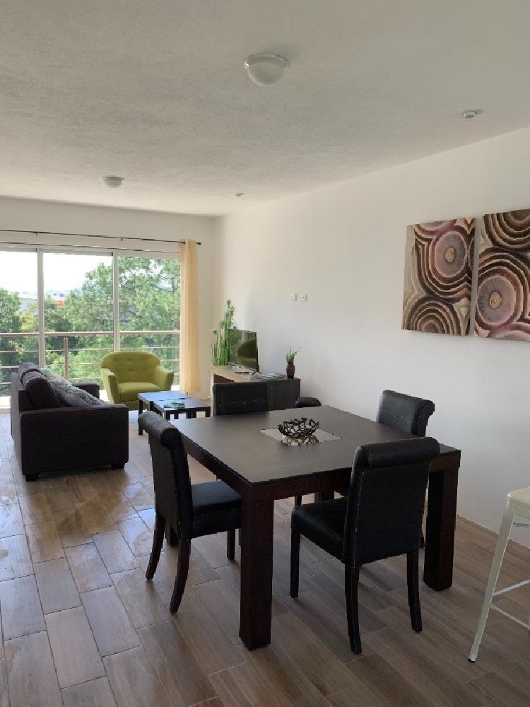 APARTAMENTO AMUEBLADO EN RENTA EN ZONA 16 — foto 12
