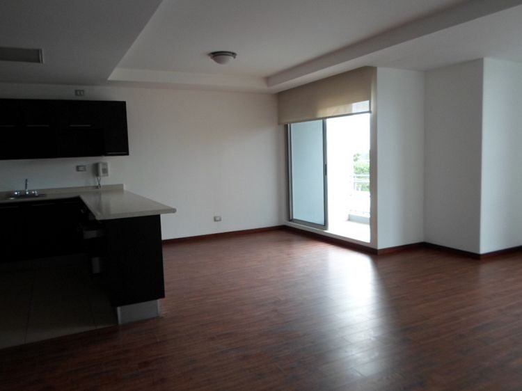 APARTAMENTO EN RENTA CERCANO A CENTRO MEDICO ZONA 10 - Image 1