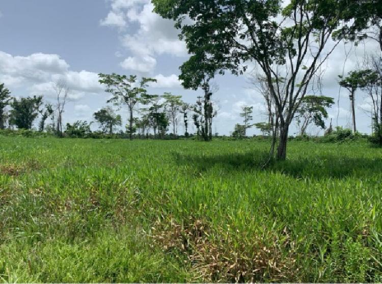 Finca Las Cruces, La Libertad, Peten - 13