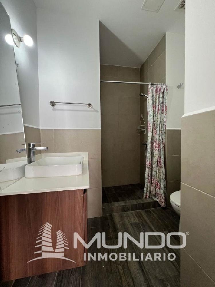 APARTAMENTO AMOBLADO EN RENTA EN LIRIOS DE CAYALA I — foto 6