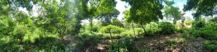 Vive a menos de 1km del Parque Arqueológico Tazumal - 5