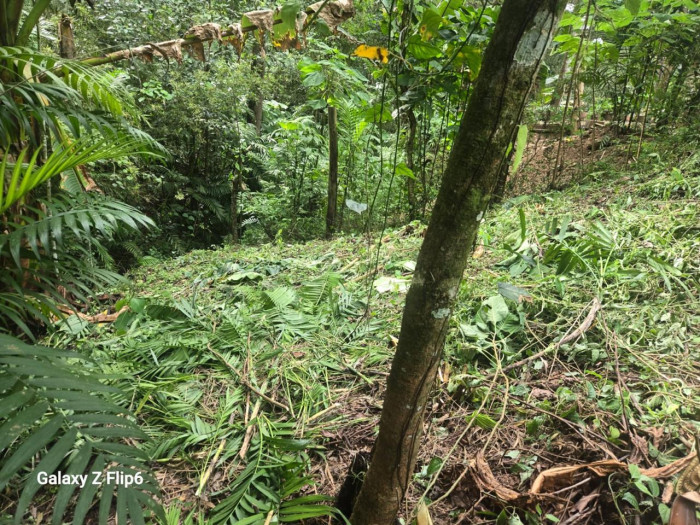 TERRENO EN #VENTA EN PIEDRA PARADA CRISTO REY — foto 4
