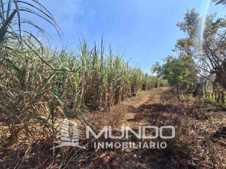 FINCA EN VENTA CARRETERRA ANTIGUA AL PUERTO SAN JOSÉ — foto 3